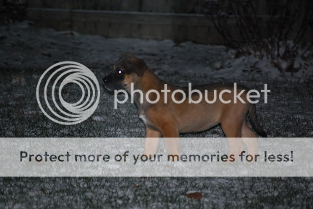 dec15todec192008020.jpg