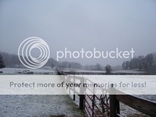 snow08009.jpg