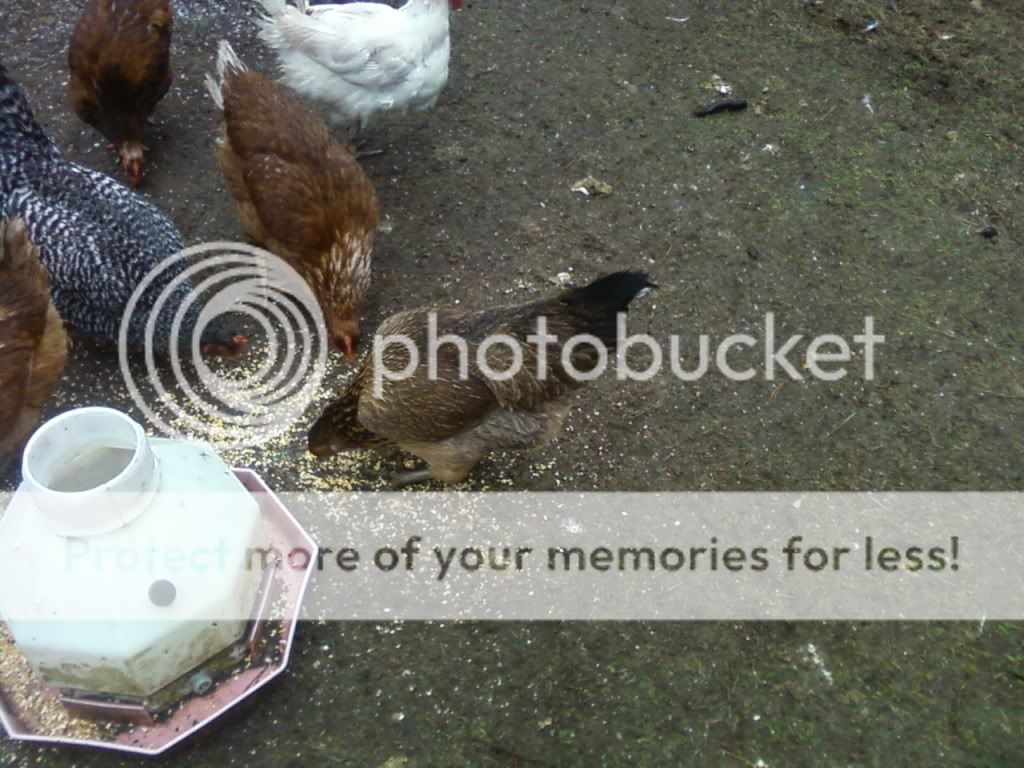 Photo562.jpg