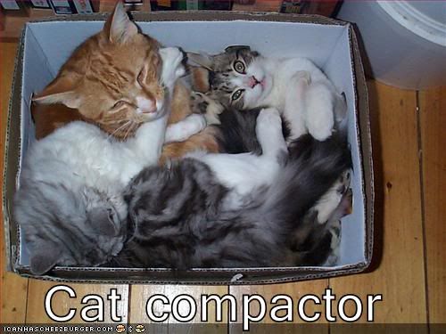 catcompactor128392326052187500.jpg