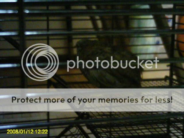 PICT0268.jpg