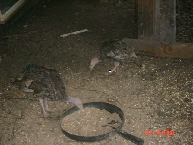 DSC01480-1.jpg