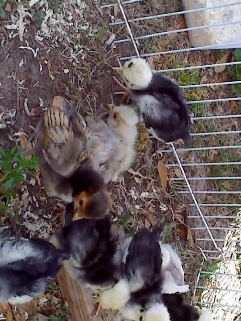 03-09-09_1153.jpg