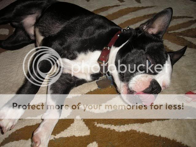 georgejoneswtongue2.jpg