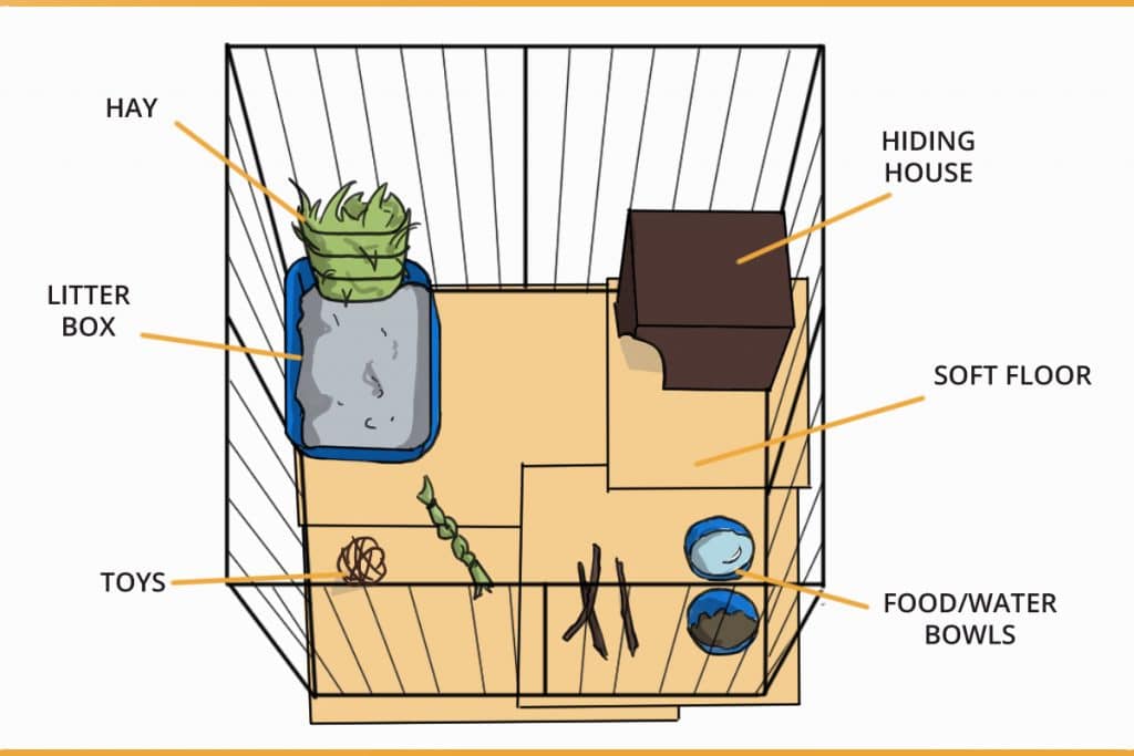 ENCLOSURE-SET-UP-RABBIT-CAGE-1024x683.jpg