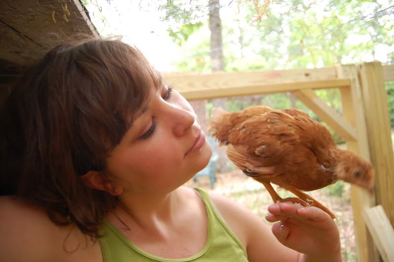 chickens4-23-10007.jpg