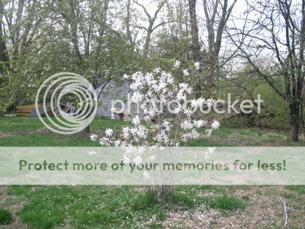 002-16.jpg