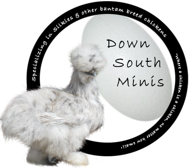 dsmlogo.png