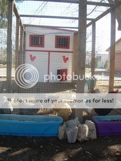 Picture032.jpg