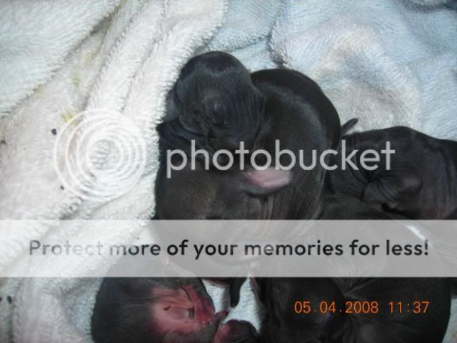 DSCN2804.jpg