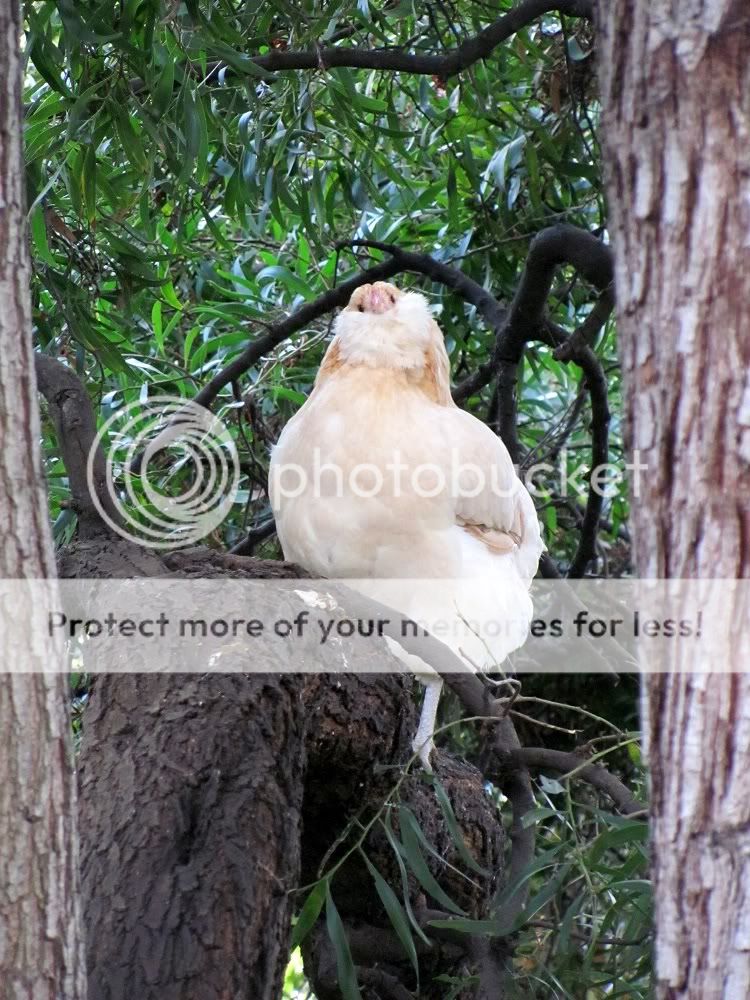 IMG_5458.jpg
