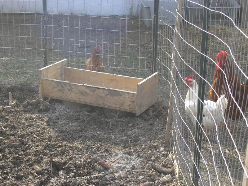 PigTrough08.jpg