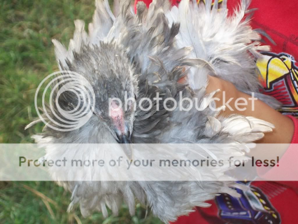 momchick002.jpg