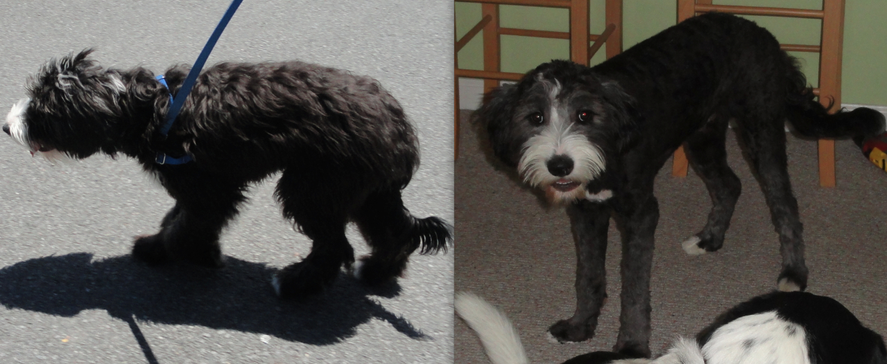 beforeafter.jpg