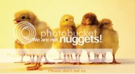 PETAchickens.jpg