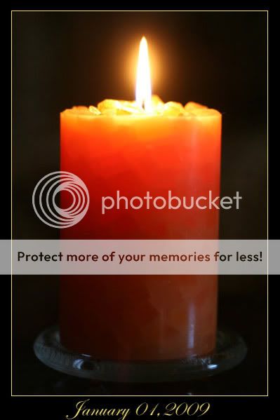Project365_01.jpg