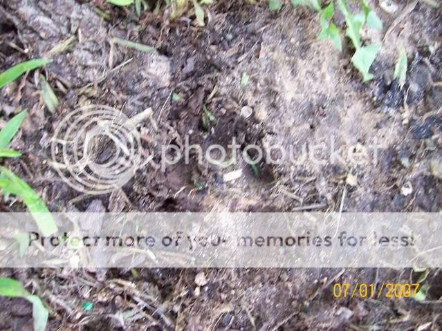 100_1054.jpg