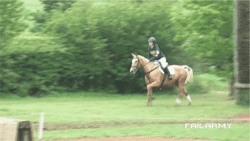 tumblr_muezwxv8xS1qewacoo7_r2_250.gif