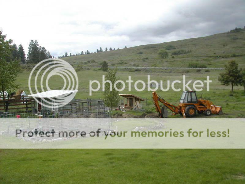 DSCN5261.jpg