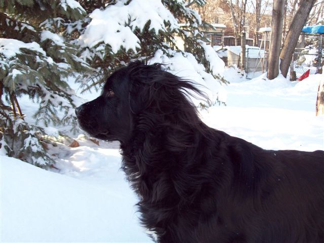 900x900px-LL-b1ac0db6_12-29-12020.jpeg