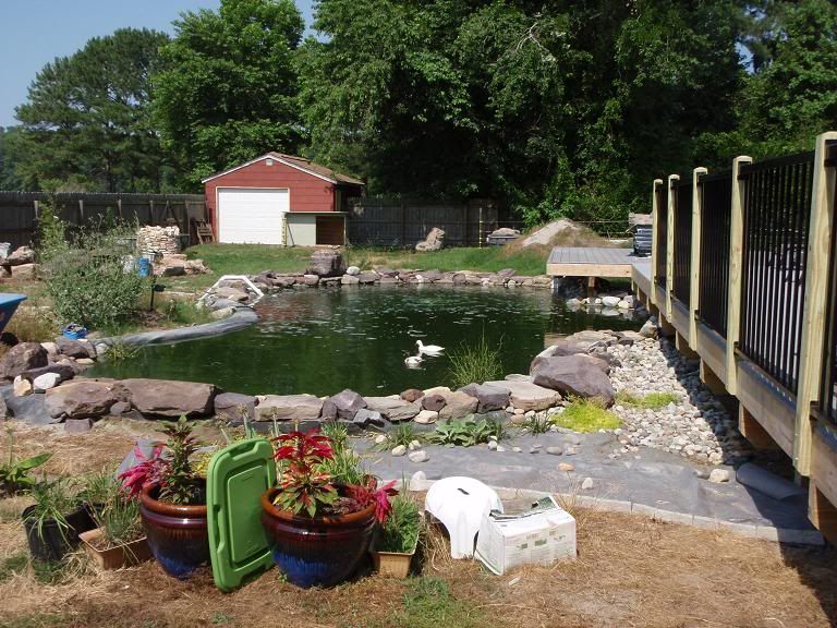 backyard-overview.jpg