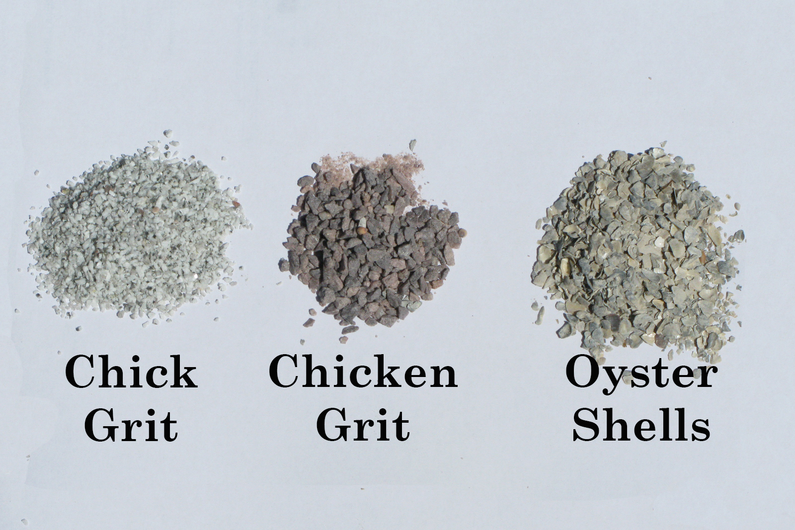 Grit+Comparison.jpg