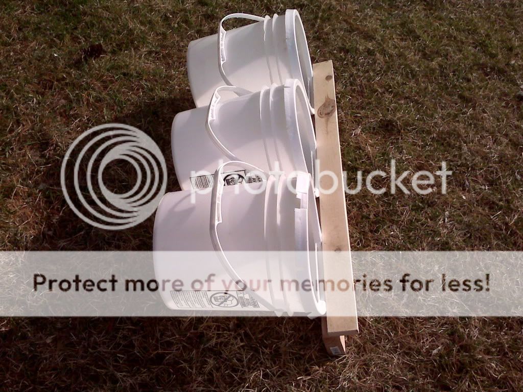 nestboxes005.jpg