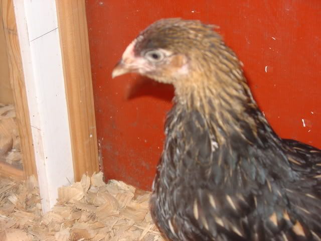 06_28_07015.jpg