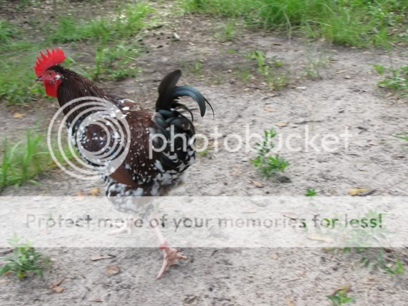 IMG_2204800x600.jpg