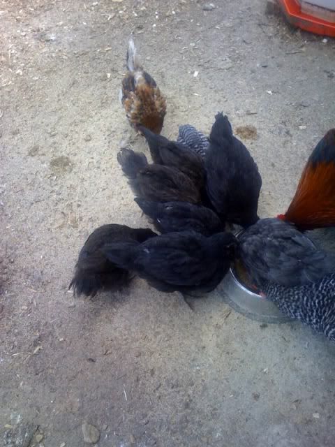 photo-193.jpg