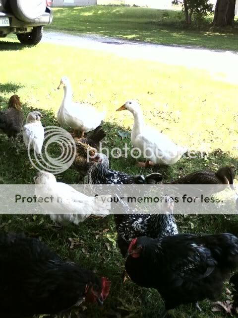 img1248807308483.jpg
