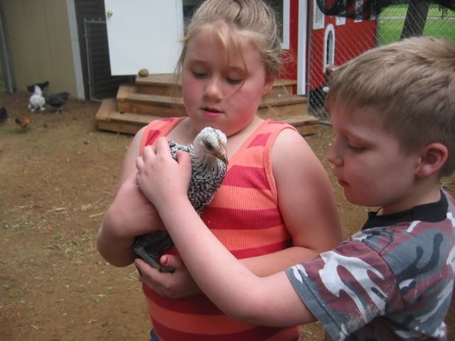 100_0007-5.jpg