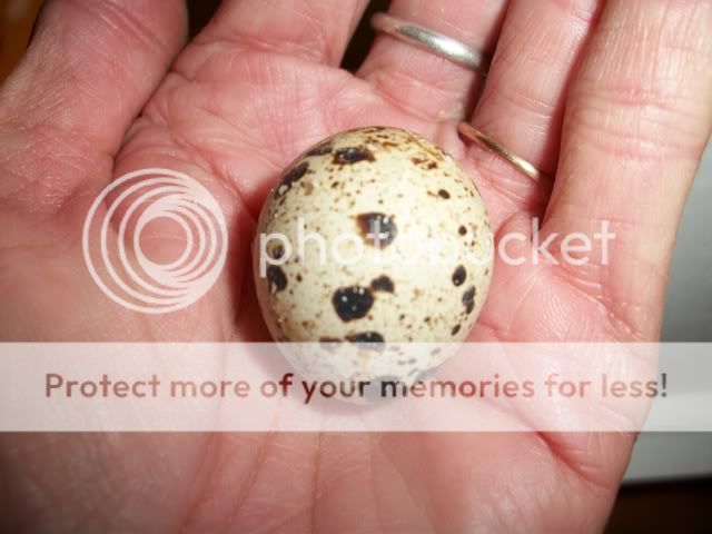 100_5689.jpg