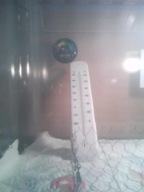 IMG0240A.jpg