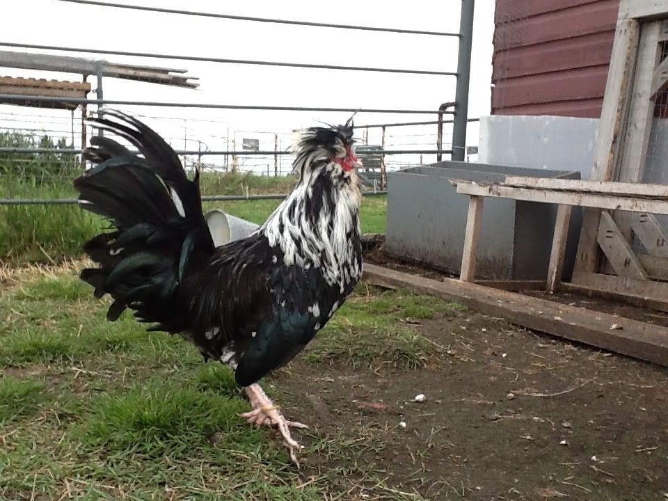 8640731a1fdf00f5f6908e04301bf2fc.jpg
