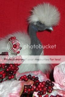 christmaschicks076.jpg