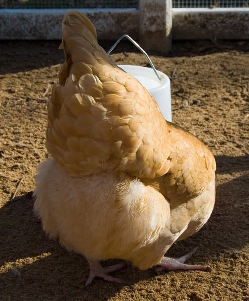 DSC_6711.jpg