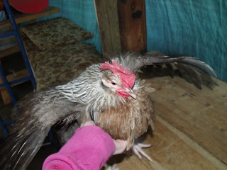 DSCF2684.JPG