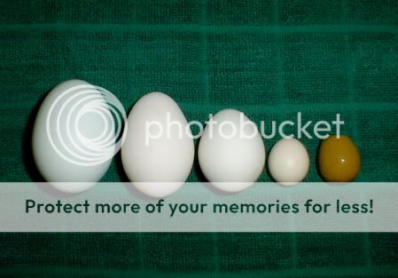 eggs-1.jpg