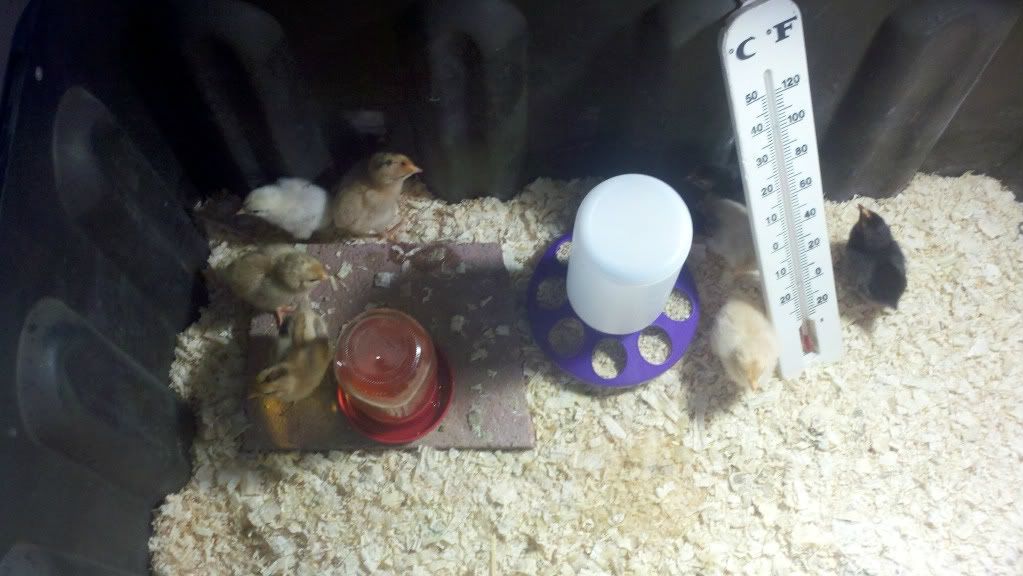 2011-10-11_14-31-03_108.jpg