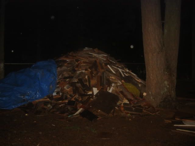 100_0022-7.jpg