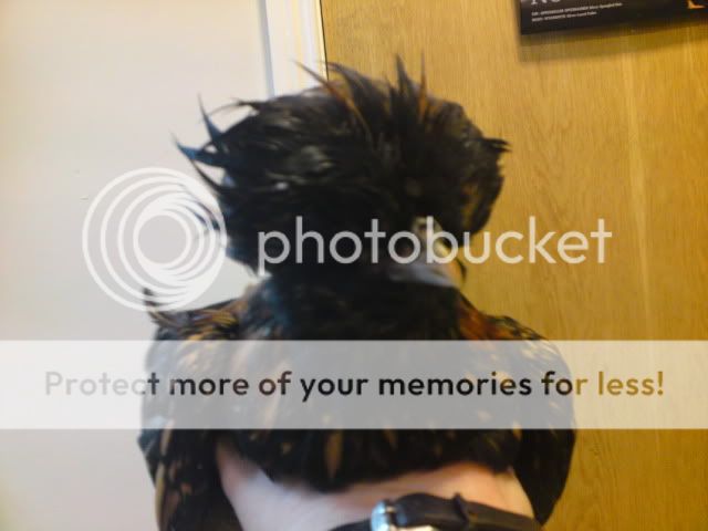 DSC01186.jpg