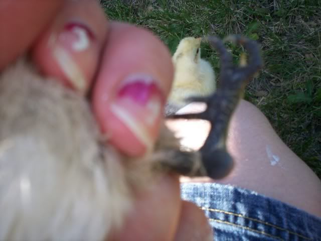 060.jpg