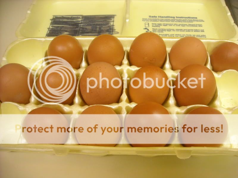 DSCN0196.jpg