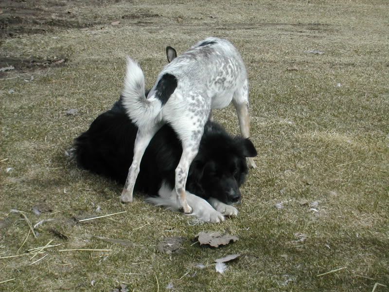 DSCN5199.jpg