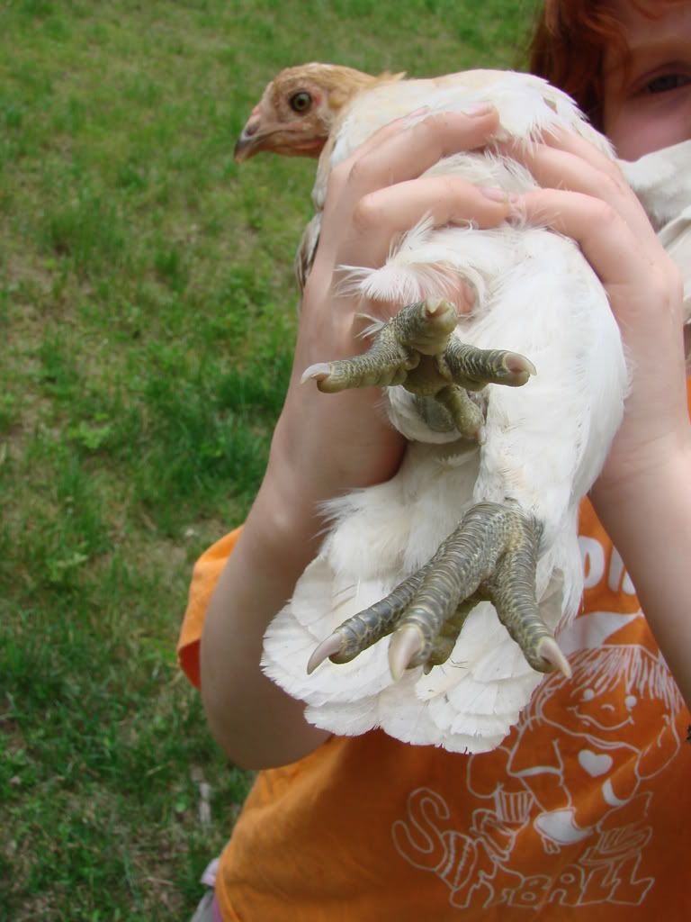 June_2007067.jpg