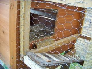100_2751.jpg