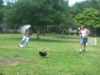 charliesoccer050.jpg