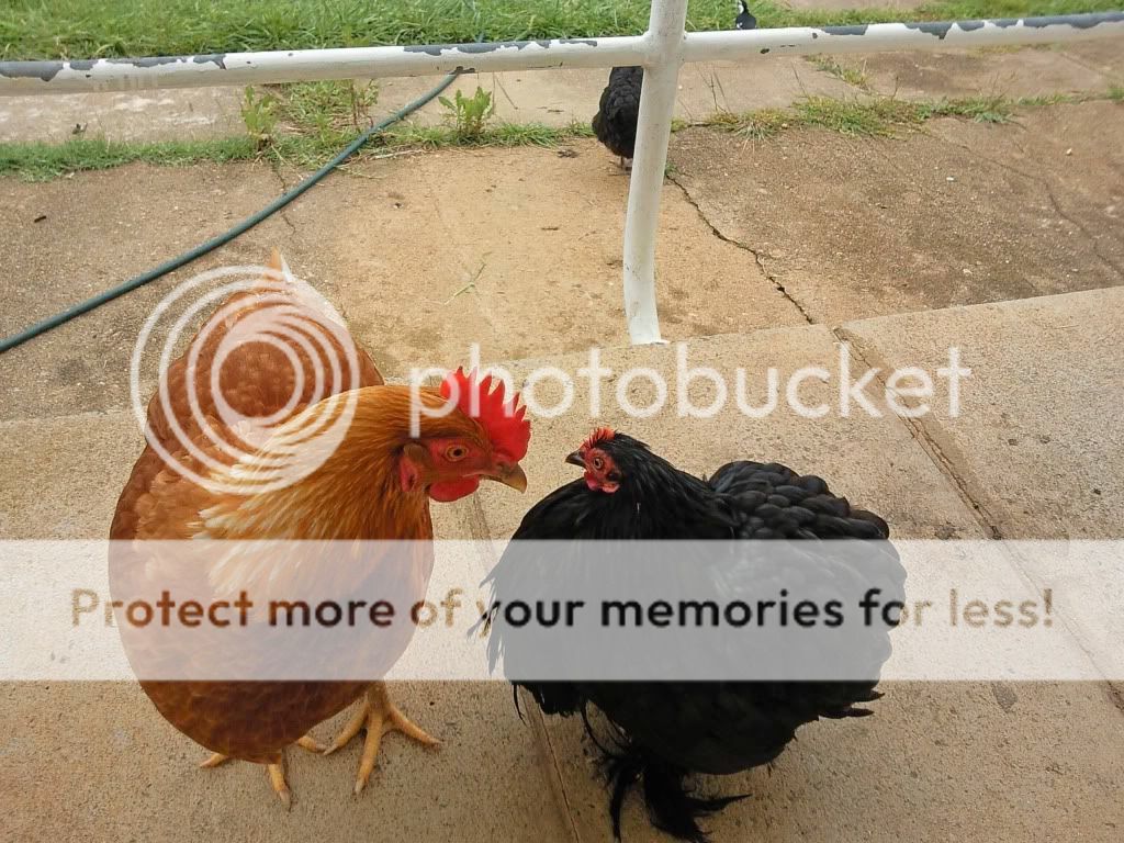 Dowie_and_Lucy.jpg