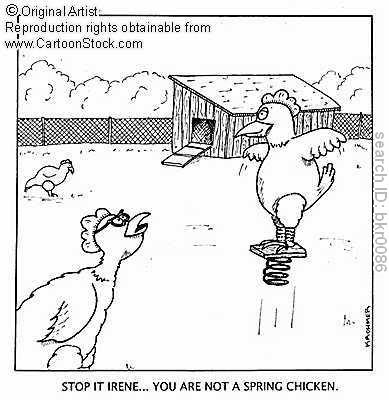 spring+chicken.jpg